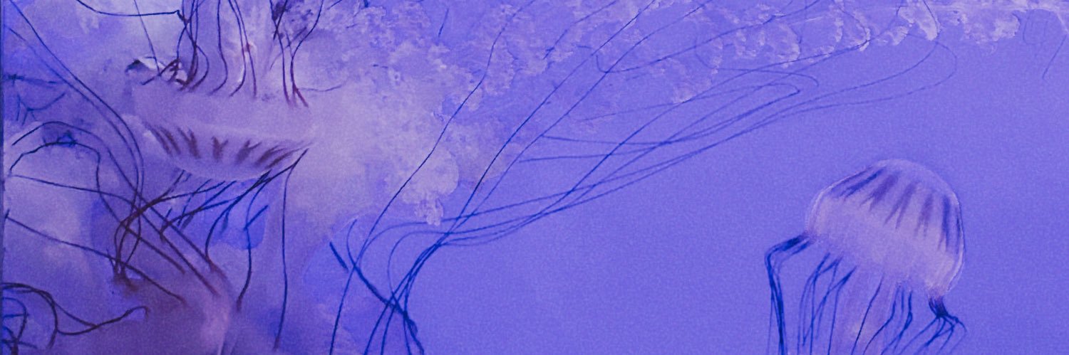 AxelleFrr's profile banner image