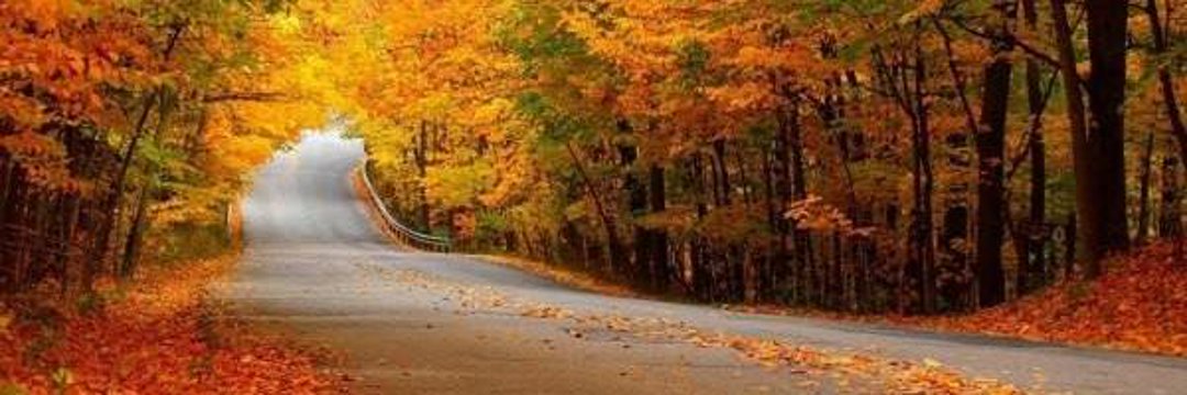 معصومه خوبرو banner