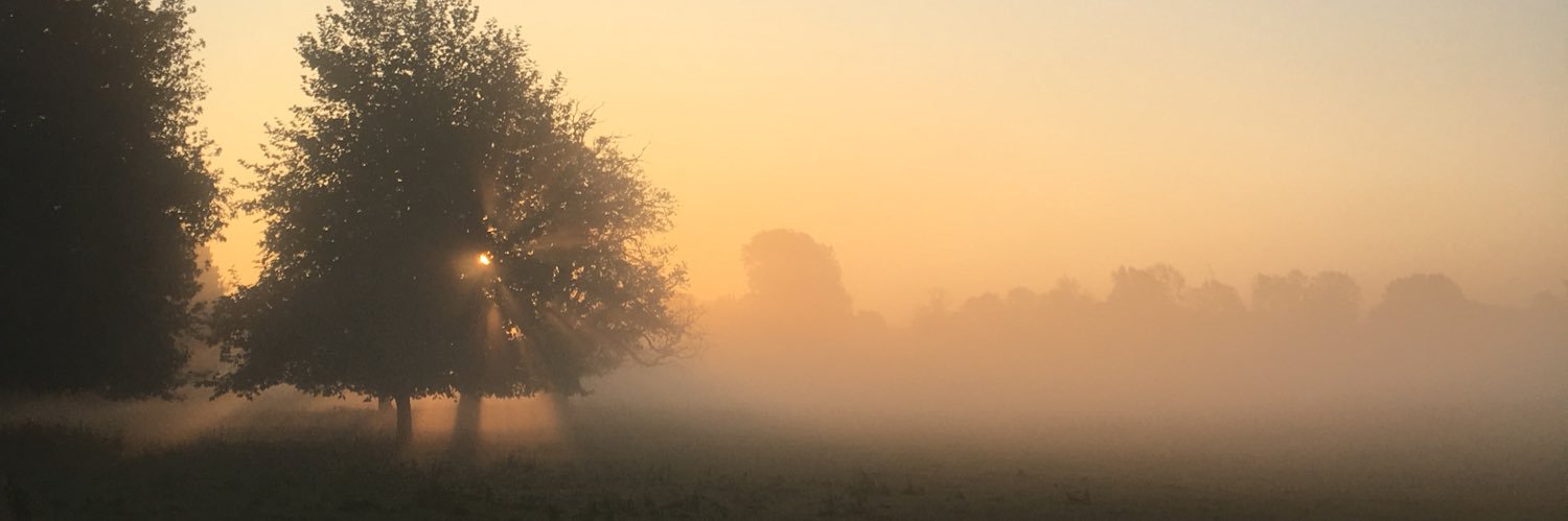 benoit hastoy banner