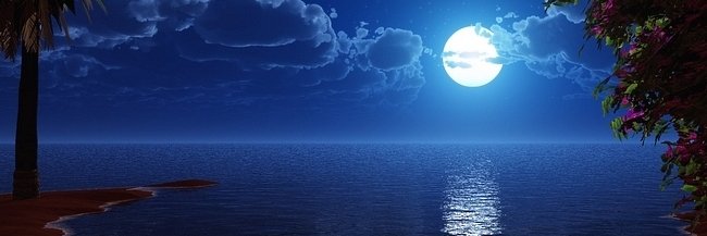 stardust🌌🌌 banner