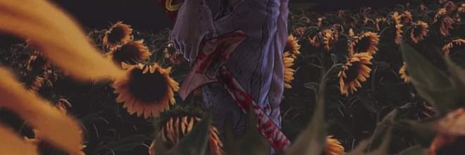 SedSensei404's profile banner image