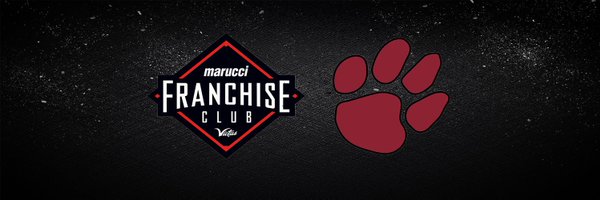 PanthersProgram Profile Banner
