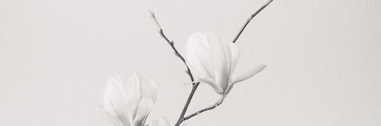 graciabk's profile banner image
