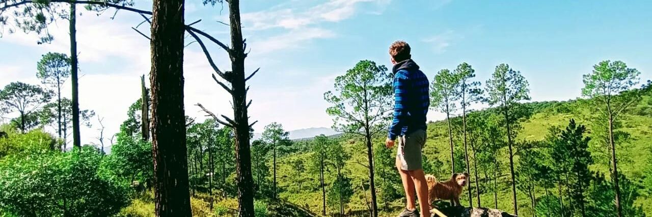 luissmit_'s profile banner image
