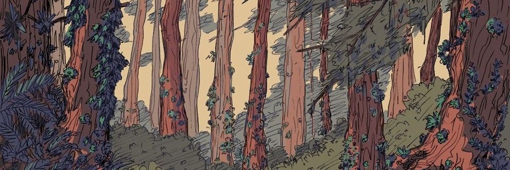 RubensMagicLab's profile banner image