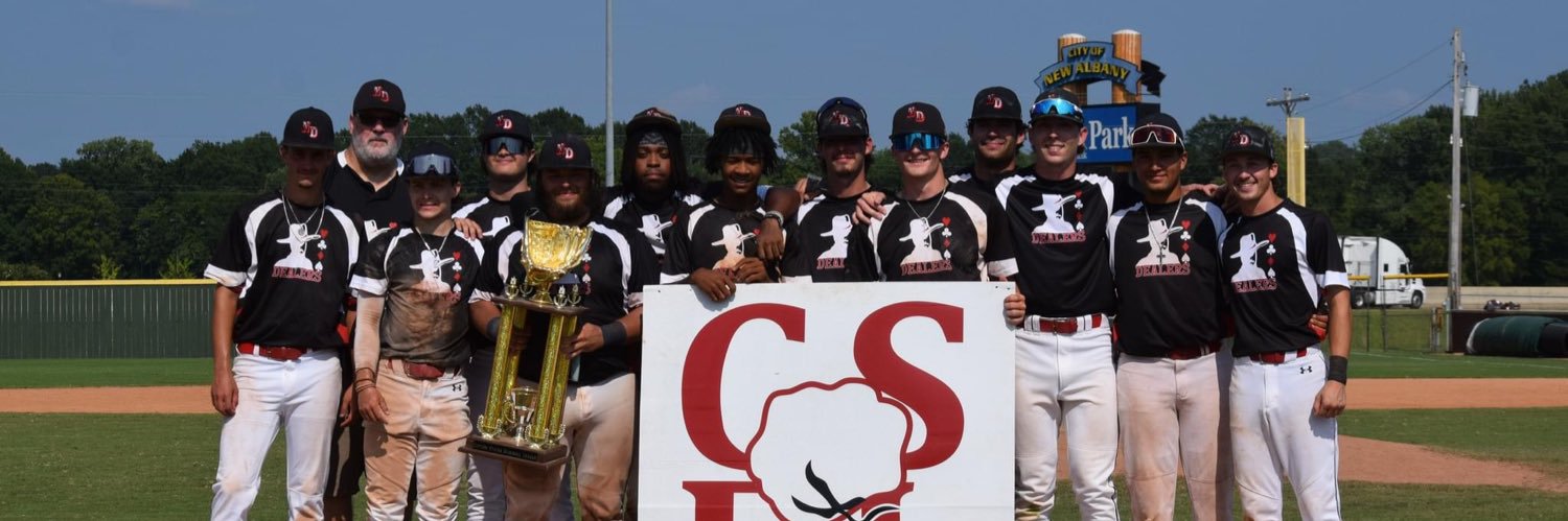 North Delta Dealers banner