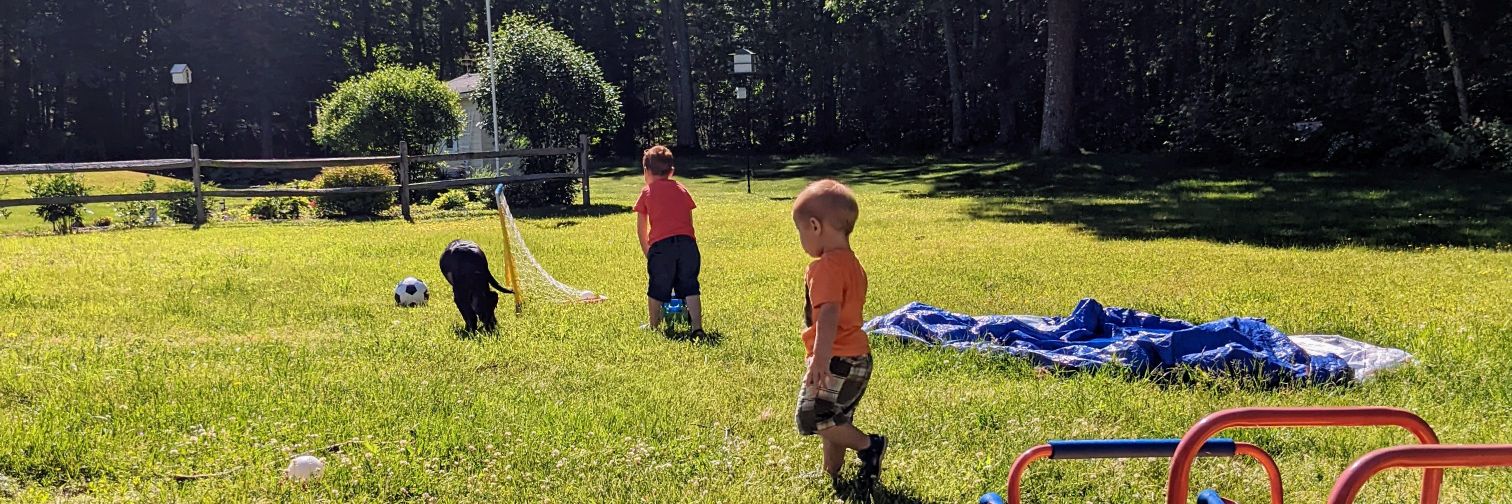 FeralTherapist (she/her) 🏳️‍🌈♣️🍍🐎🍄 banner