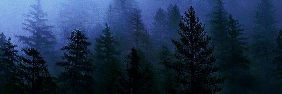 JJ 🦌's banner