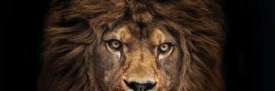 thewin04's profile banner image