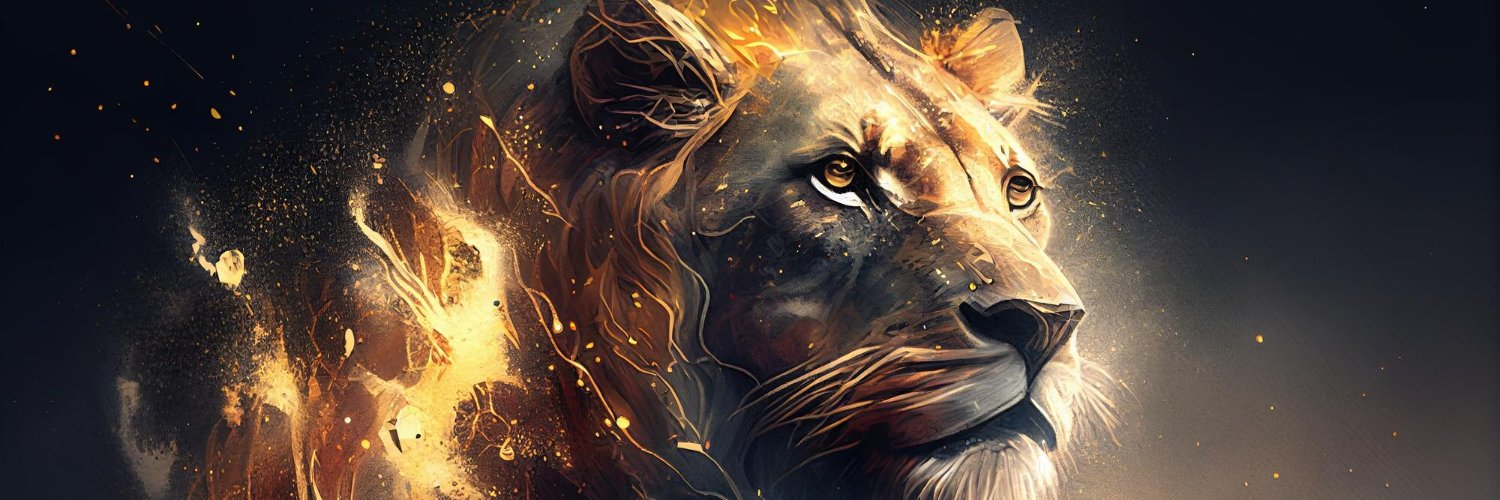 Rahmi Vidinlioğlu banner