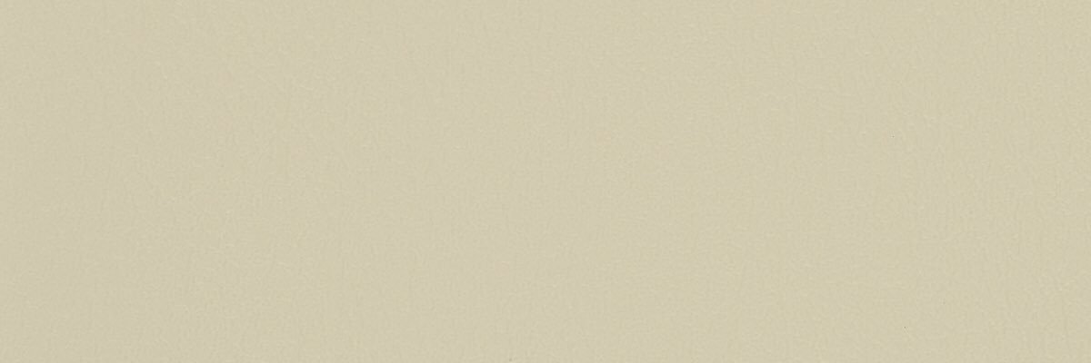 paceofglaciers's profile banner image