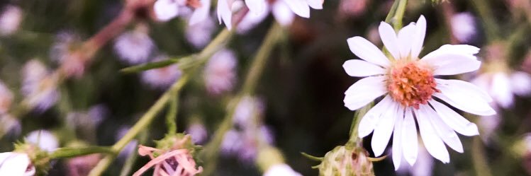 TonaOfDay's profile banner image