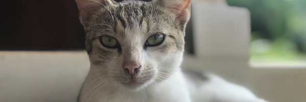 NgemsJ Profile Banner