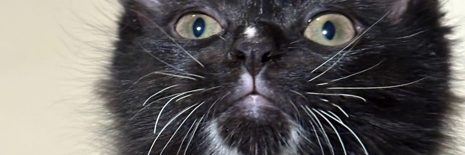 life has been so good to me banner