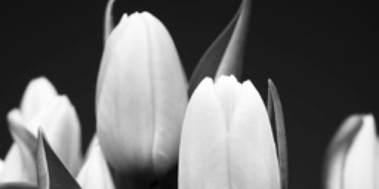 AlbertComper's profile banner image