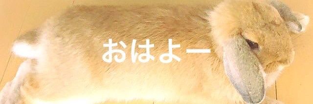 DCfine0411's profile banner image
