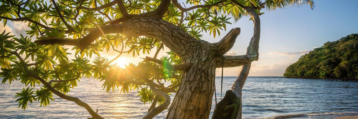 danielmugun's profile banner image