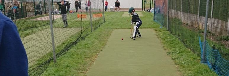 Marco Higgins Cricket Coaching banner