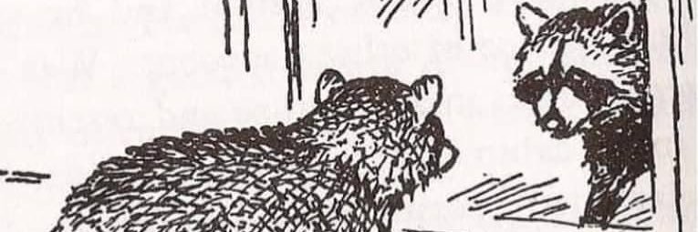 karrwreck's profile banner image