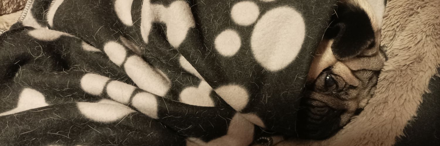 ivprz_'s profile banner image