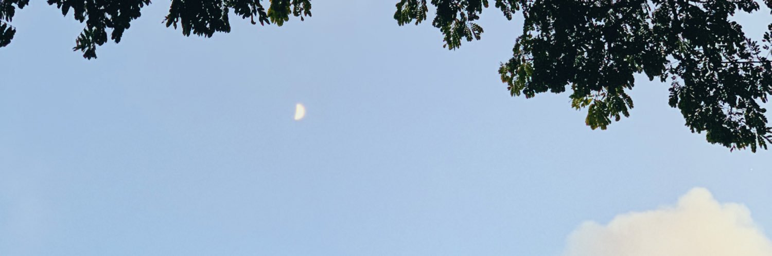 jessicunilingus's profile banner image