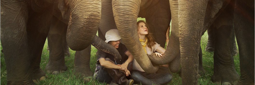 LoveAndBananas's profile banner image