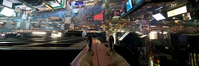 Roberto Piña banner