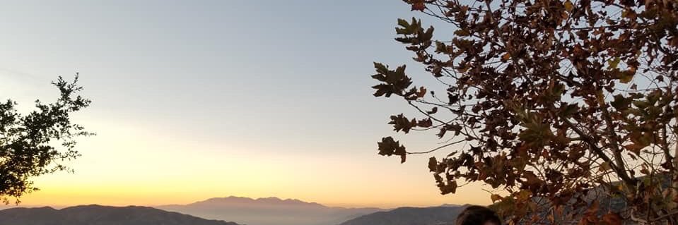 Manigonzalez's profile banner image