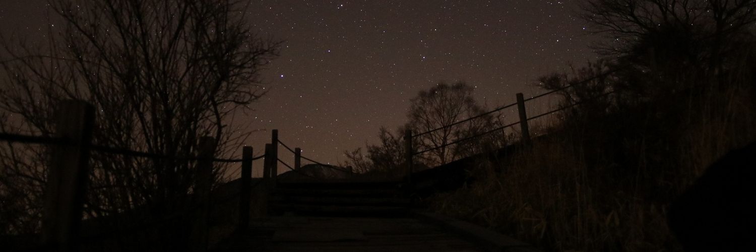 copal_tabekake's profile banner image