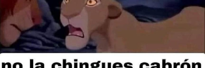 PS · w ε κ ο τ τ 🏳️‍⚧️ 💫 banner