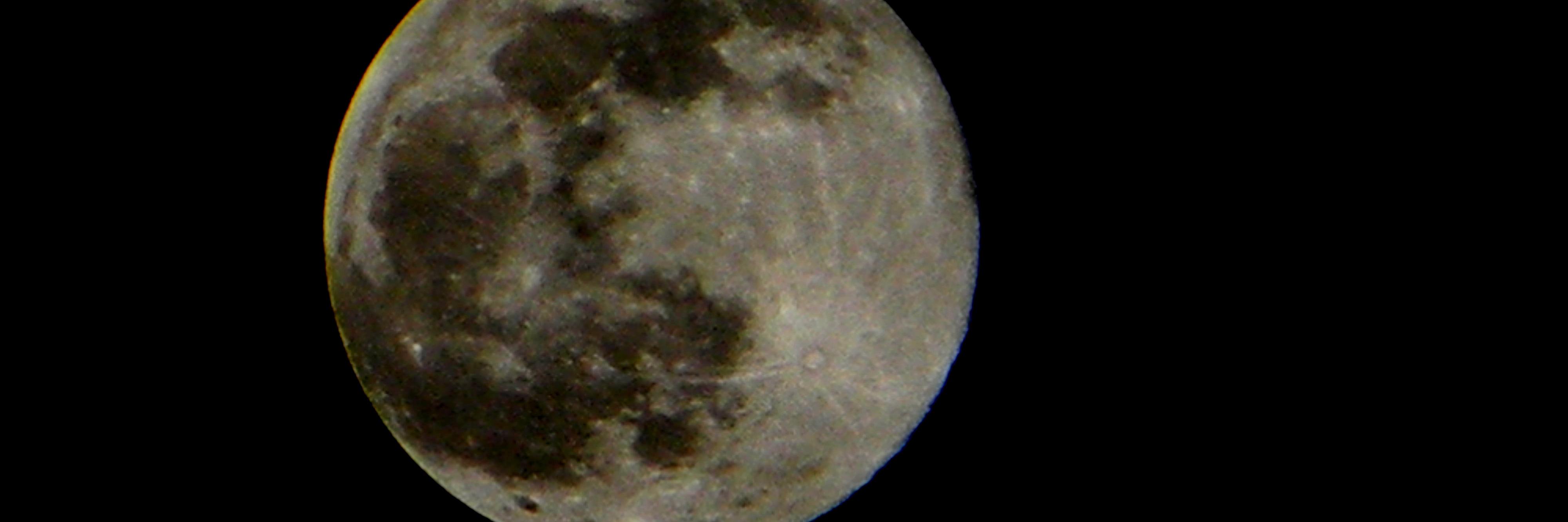 blushedivan's profile banner image