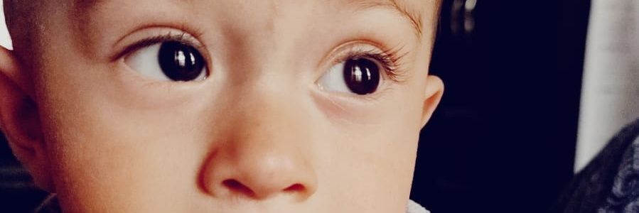 Bildlinse's profile banner image