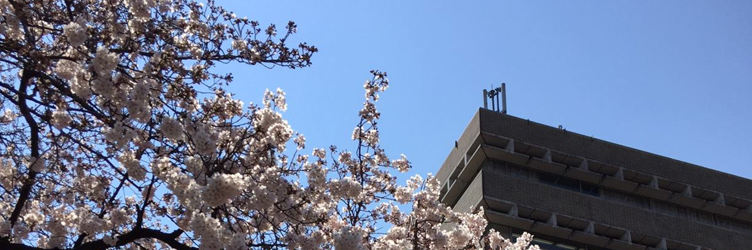 深田貴美子/東京維新幹事長/武蔵野市 banner