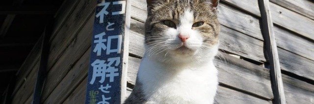 bitoukasuka's profile banner image