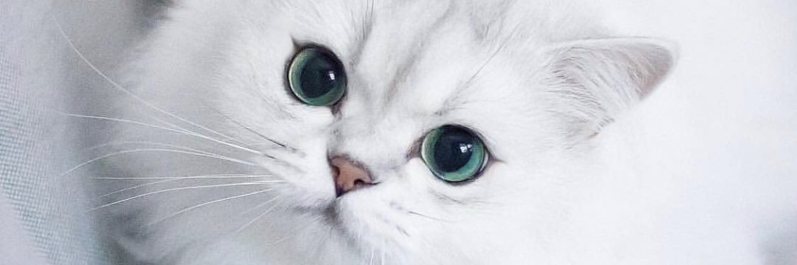 hannanunaa's profile banner image