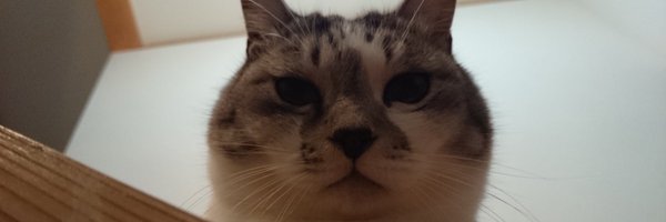 JmC0l49ehU0jPQA Profile Banner