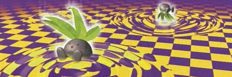 Stephanie 🍉 banner