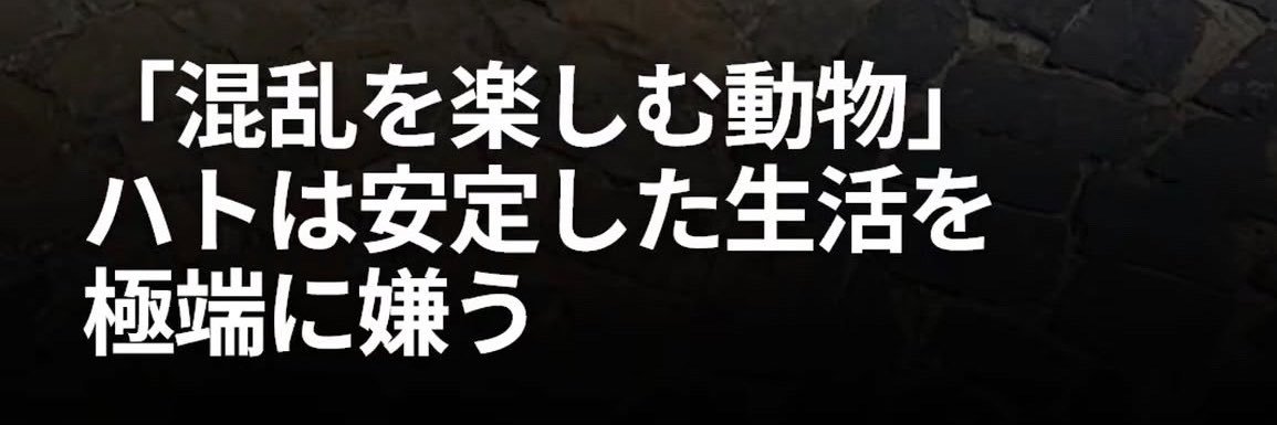 _jonhyuzu's profile banner image