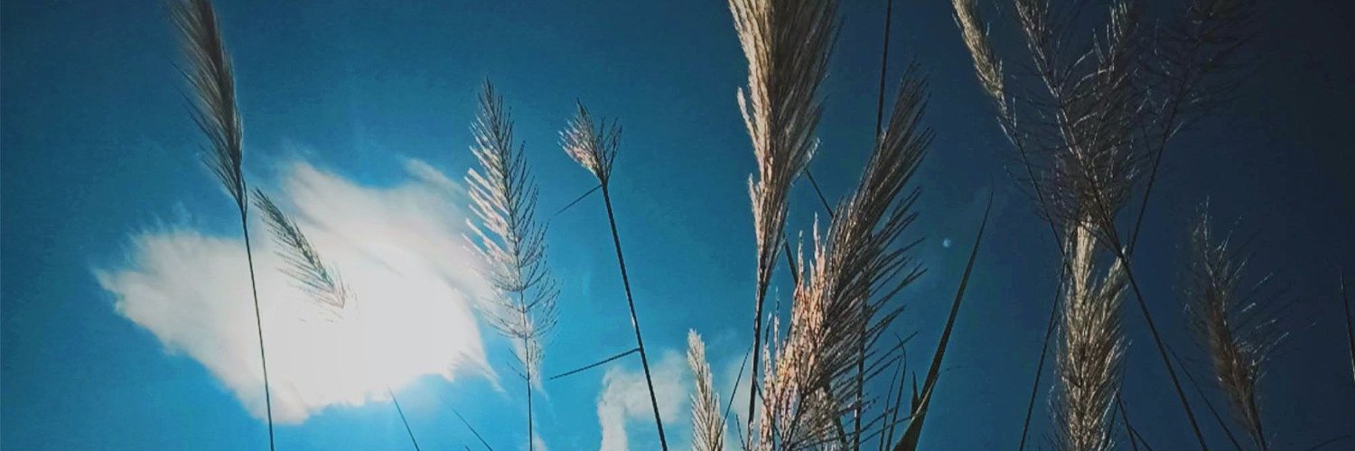 fadilvaa95's profile banner image