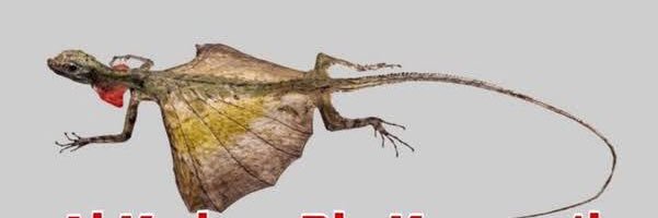 AnamjayaCom's profile banner image