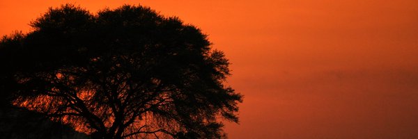 harshdikshit_ Profile Banner