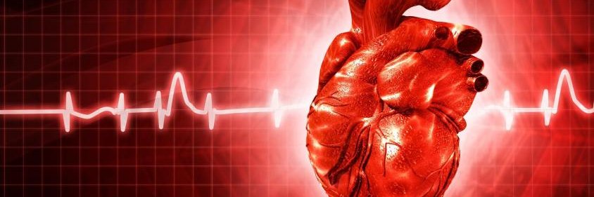 Pakistan National Heart Association (PANAH) banner