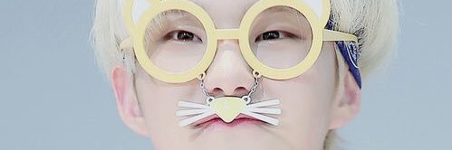 vidi 🌙 banner