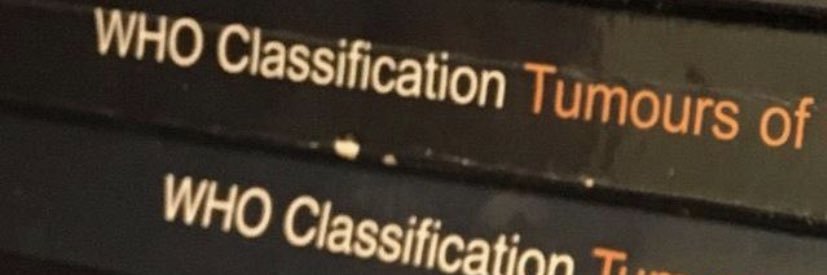 Vladimir Kushnarev banner