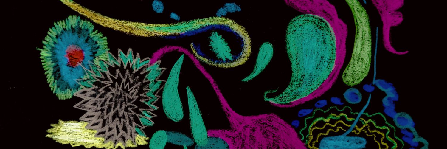 unregistered hypercam 2 banner