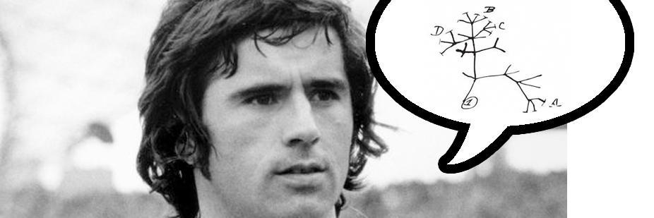 Javier Felipe Tabima banner