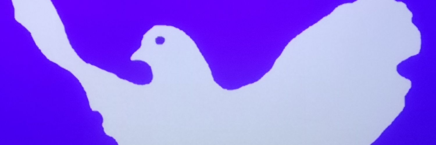 AnsaMajuri's profile banner image