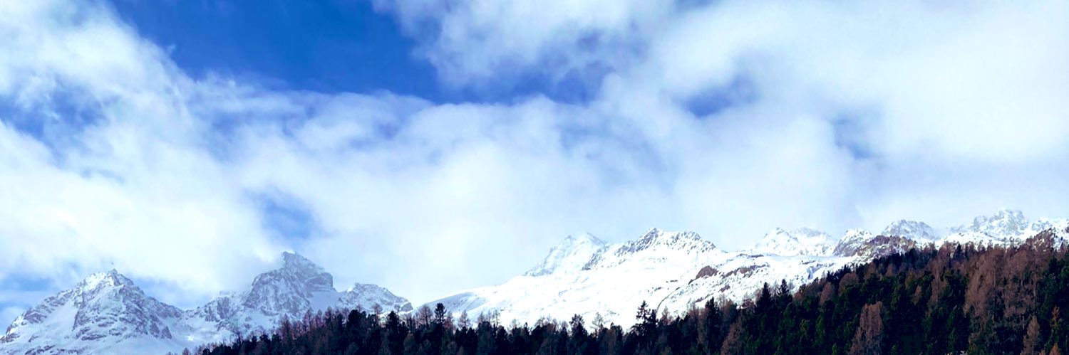 Dominique Lisa Birrer banner