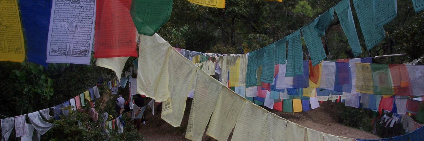Sally Margan banner