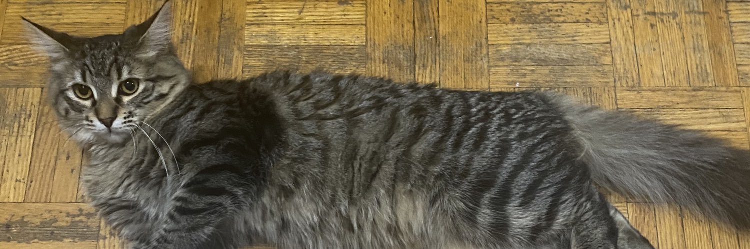 djadonis_'s profile banner image